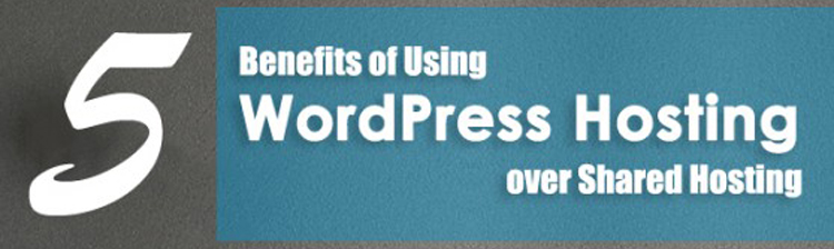 5 Benefits of WordPress hosting over shared hosting for your WordPress site/blog