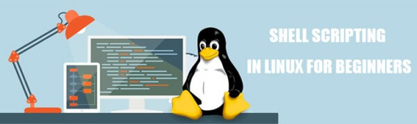 Tutorial for Shell Scripting in Linux for Beginners With Examples