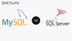 MySQL vs MSSQL: Key Differences You Need to Know